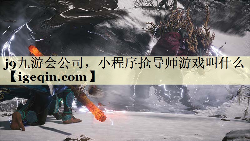 j9九游会公司，小程序抢导师游戏叫什么