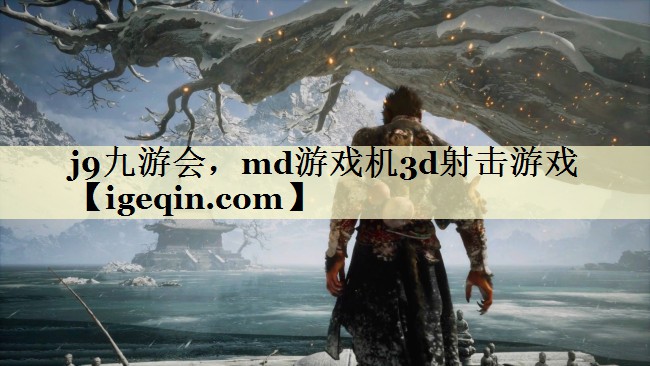 j9九游会，md游戏机3d射击游戏