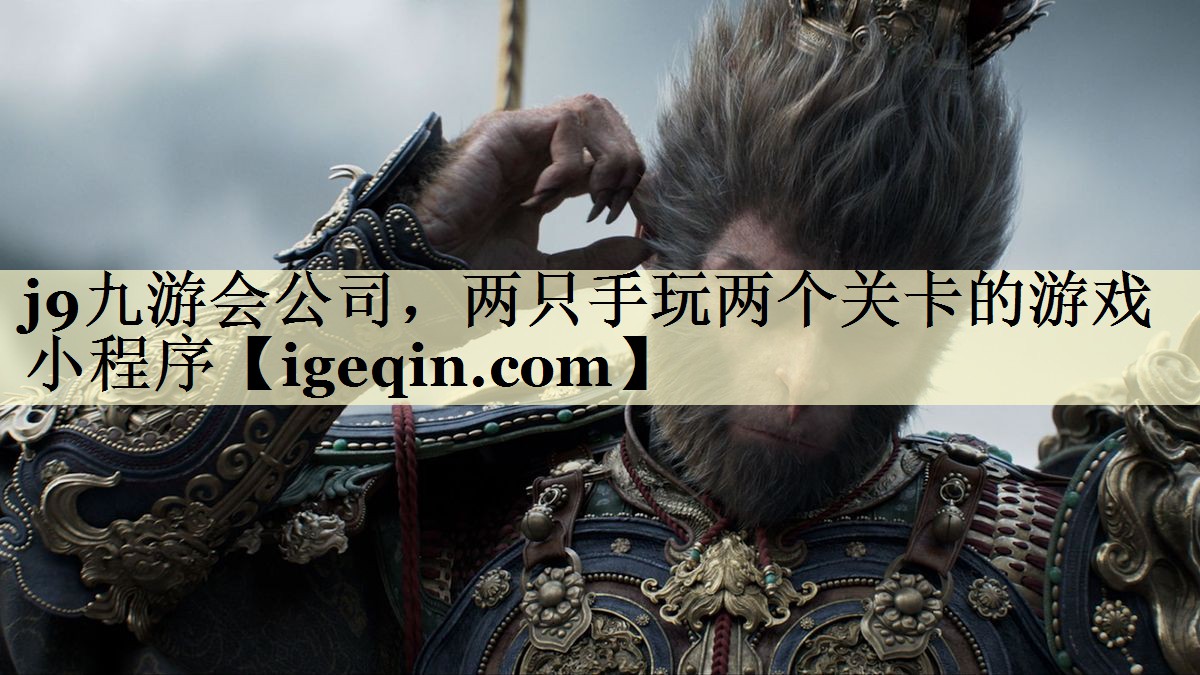 j9九游会公司，两只手玩两个关卡的游戏小程序
