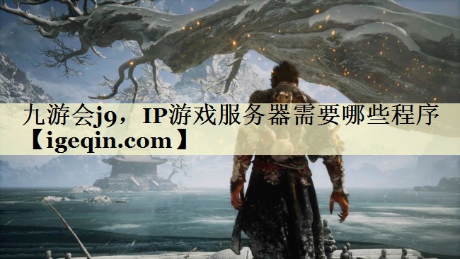 九游会j9，IP游戏服务器需要哪些程序