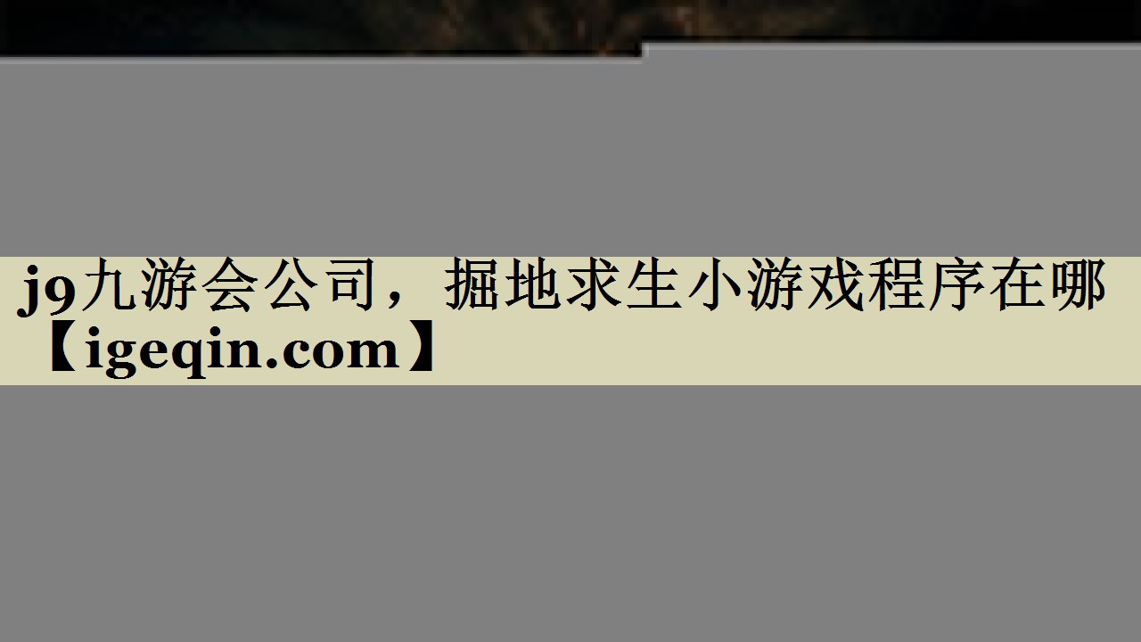 掘地求生小游戏程序在哪