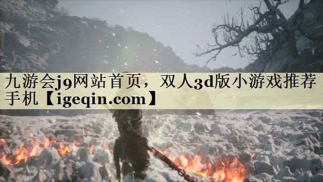 双人3d版小游戏推荐手机