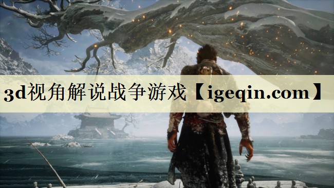 3d视角解说战争游戏
