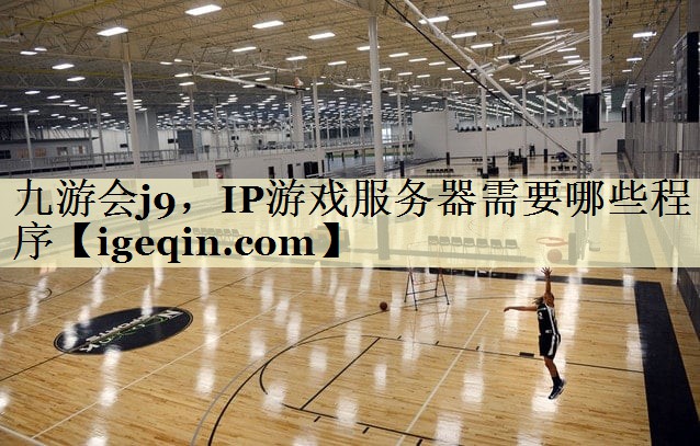 IP游戏服务器需要哪些程序