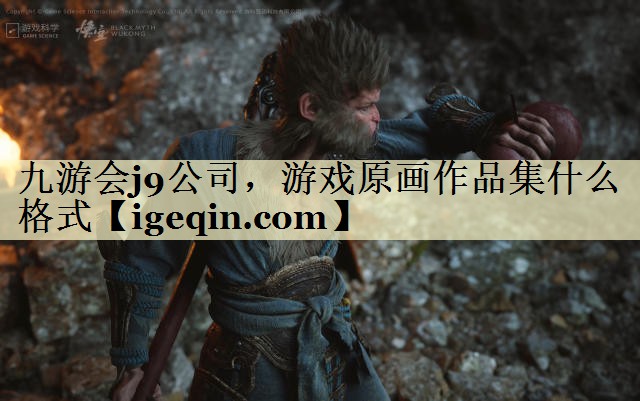 游戏原画作品集什么格式