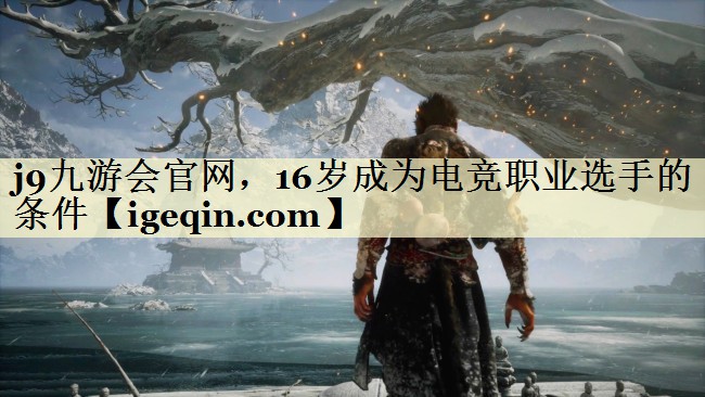 16岁成为电竞职业选手的条件