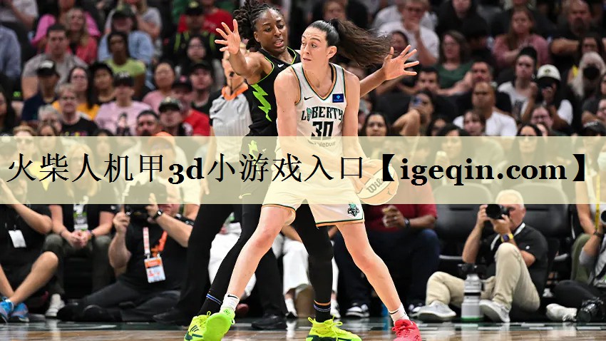 火柴人机甲3d小游戏入口
