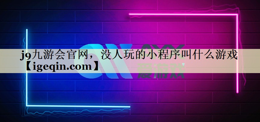 没人玩的小程序叫什么游戏